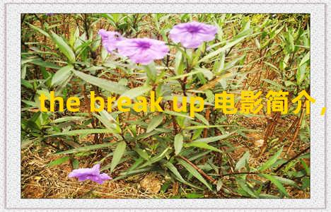 the break up 电影简介，breaking up 电影